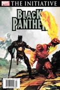BLACK PANTHER #28B 