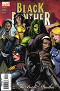 BLACK PANTHER #14 
