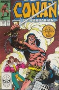 CONAN THE BARBARIAN #208 