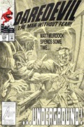 DAREDEVIL #316 