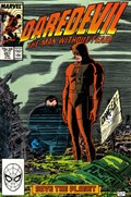 DAREDEVIL #251 