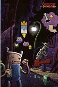 ADVENTURE TIME #28-RI 