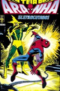 A TEIA DO ARANHA #11 