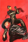 THE SHADOW #10-RI 