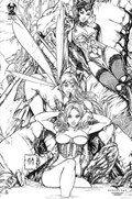 GRIMM FAIRY TALES PRESENTS WONDERLAND #17-BLDIA-B 