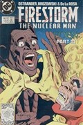 FIRESTORM: THE NUCLEAR MAN #79 