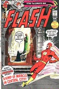 THE FLASH #208B 