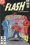 THE FLASH #317 