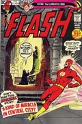 THE FLASH #208 