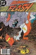 THE FLASH #25B 