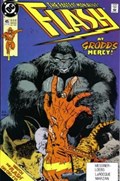 THE FLASH #45 