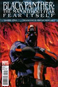 BLACK PANTHER: THE MAN WITHOUT FEAR #521 