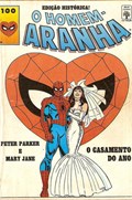 HOMEM-ARANHA #100 