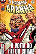 HOMEM-ARANHA #205 