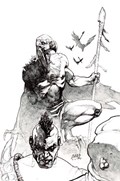 DARK SUN #2-RI 