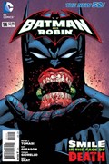 BATMAN AND ROBIN #14 