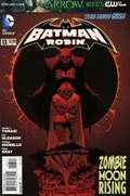 BATMAN AND ROBIN #13 