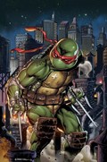 TEENAGE MUTANT NINJA TURTLES #102-SLAB 