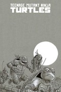 TEENAGE MUTANT NINJA TURTLES #100-BISHA 