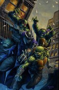 TEENAGE MUTANT NINJA TURTLES #100-BFLAG 
