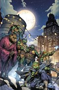 TEENAGE MUTANT NINJA TURTLES #100-EPIKO-B 
