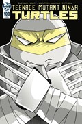 TEENAGE MUTANT NINJA TURTLES #100-AOD-B 