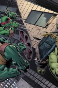 TEENAGE MUTANT NINJA TURTLES #100-MID-C 