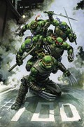 TEENAGE MUTANT NINJA TURTLES #100-GAPPL-B 
