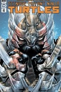 TEENAGE MUTANT NINJA TURTLES #106-EVOLV 