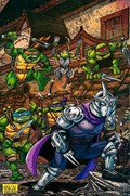 TEENAGE MUTANT NINJA TURTLES #100-DKESS 