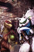 TEENAGE MUTANT NINJA TURTLES #110-SM616-B 