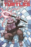 TEENAGE MUTANT NINJA TURTLES #113B 