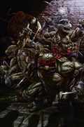 TEENAGE MUTANT NINJA TURTLES #84-SCOTT 