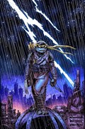 TEENAGE MUTANT NINJA TURTLES #99-FRANK 