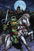 TEENAGE MUTANT NINJA TURTLES #99-PLAC 