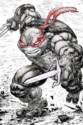 TEENAGE MUTANT NINJA TURTLES #108-EVOLV-B 