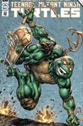 TEENAGE MUTANT NINJA TURTLES #109-EVOLV 