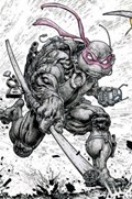 TEENAGE MUTANT NINJA TURTLES #111-EVOLV-B 