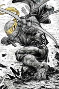 TEENAGE MUTANT NINJA TURTLES #112-EVOLV-B 