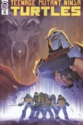 TEENAGE MUTANT NINJA TURTLES #132-RI 