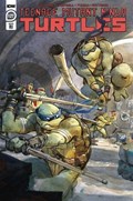 TEENAGE MUTANT NINJA TURTLES #127-RI 