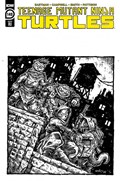 TEENAGE MUTANT NINJA TURTLES #140-RI-C 