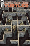 TEENAGE MUTANT NINJA TURTLES #141-RI 