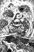 TEENAGE MUTANT NINJA TURTLES #146-RI-C 