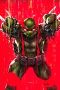 TEENAGE MUTANT NINJA TURTLES #132-FCCBD-C 