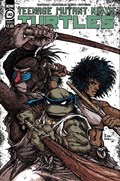 TEENAGE MUTANT NINJA TURTLES #143B 