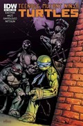 TEENAGE MUTANT NINJA TURTLES #33 