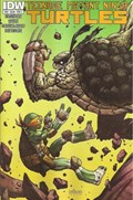TEENAGE MUTANT NINJA TURTLES #35 