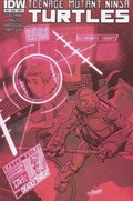 TEENAGE MUTANT NINJA TURTLES #34 