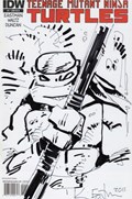 TEENAGE MUTANT NINJA TURTLES #1-RI-D 